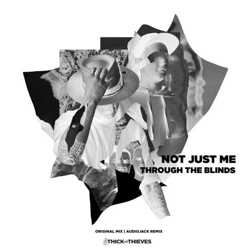 Through The Blinds - Not Just Me (Audiojack Remix)