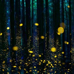 Out of time?? (i feel it coming?)