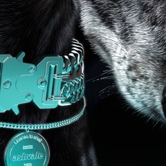 A.S.S. Selects 🍑 Oct ‘25