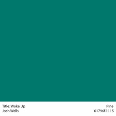 Woke Up - Josh Wells