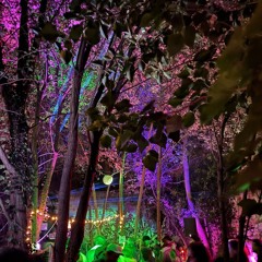 Matt Gold @ Secret Garden 02.11.24