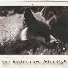 the canines are friendly!! - prod. by michael harrison