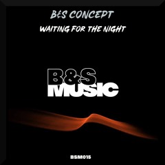 Waiting For The Night (Original Mix) B&SMusic