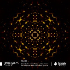 #007 KNOB PREMIERE: Kernel Panic (AR) - Car (Linear System Remix) [Concepto Hipnotico Rec]