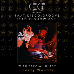 Sleazy Wonder on That Disco Groove Radio Show 053