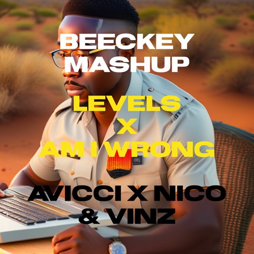 Levels x Am I Wrong - Avicci x Nico & Vinz (Beeckey Mashup)