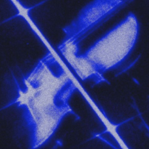 YouDontHaveToCall w/Chrme.Shwty