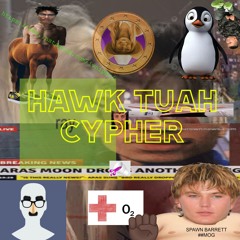 HAWK TUAH CYPHER [prod. Kosfinger]