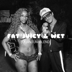 FAT JUICY & WET (DJ QUANTUM BLEND)