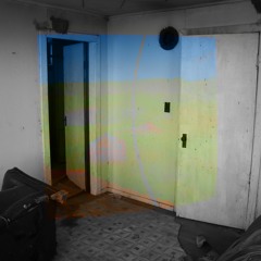 Inertia