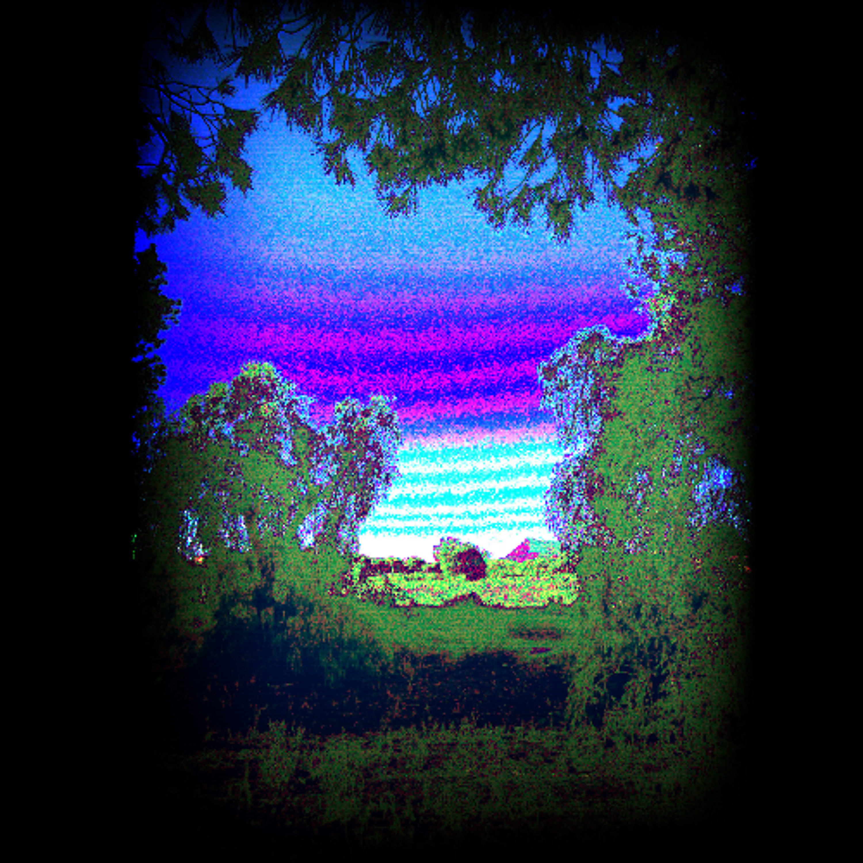 Unknown Pseudoartist