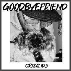 Goodbye Friend (Original Mix)