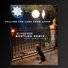Calling the Lama from Affar (Bootleg Remix) feat. Dakini Heart