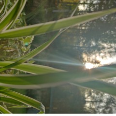 Shot In The Dark/John Mayer (Sample)