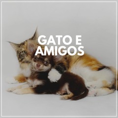 Regal Feline Calming Music for Your Cat, Pt. 34