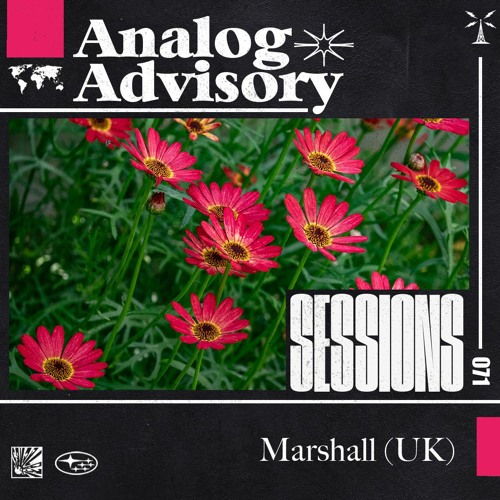 Analog Advisory Sessions 071: Marshall (UK)