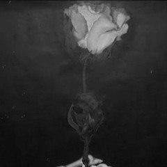 Solitario - Todo parece infinito un minuto antes de que se acabe