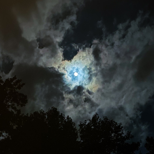 scars novulent slowed