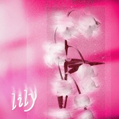 lily