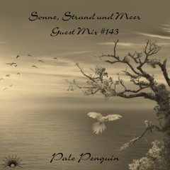 Sonne, Strand und Meer Guest Mix #143 by Pale Penguin