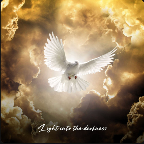 Light into the darkness