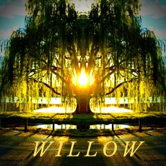 Willow