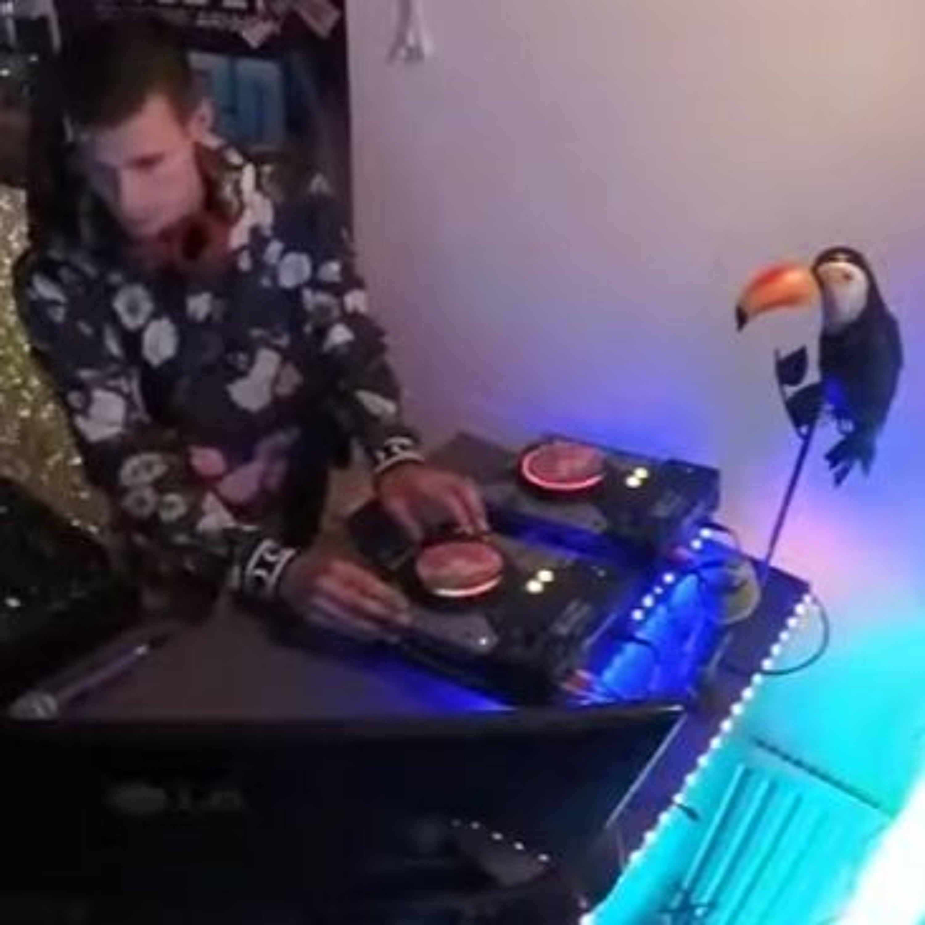 DDZ Presents: a Livestream