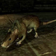 huncho rat
