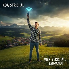KOA STRICHAL