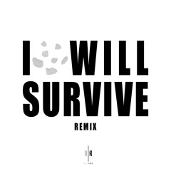 I Will Survive (Remix)