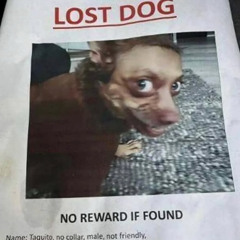 lost dog