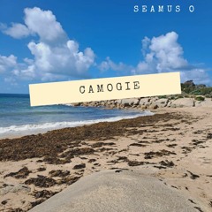 Camogie