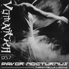 PAVOR NOCTURNUS - Tarantella Lacinia