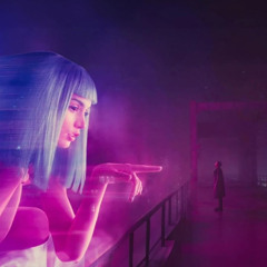 2049