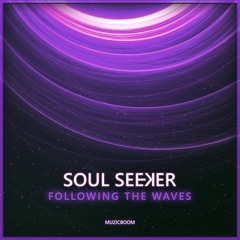 Soul Seeker - Following The Waves