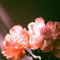 J'ai allumé deux fleurs tremblantes (2021)