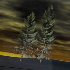 so.ut,h par˚ flåß