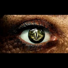 Dragon Transformation