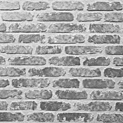 【v_flower】Meaningless