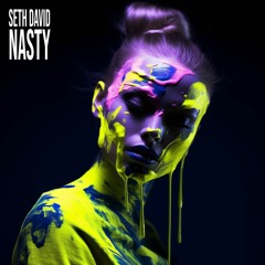 Seth David - Nasty [Drip House Records]