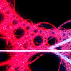 Undeciphered (OP-Z doodle)