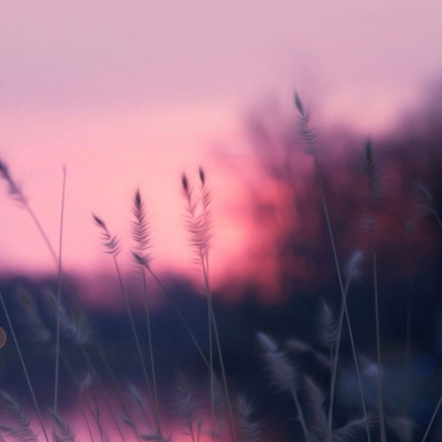 ‎⁨ سورة المزمل || شريف مصطفى⁩