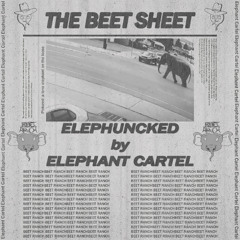 Elephant Cartel - Elephuncked