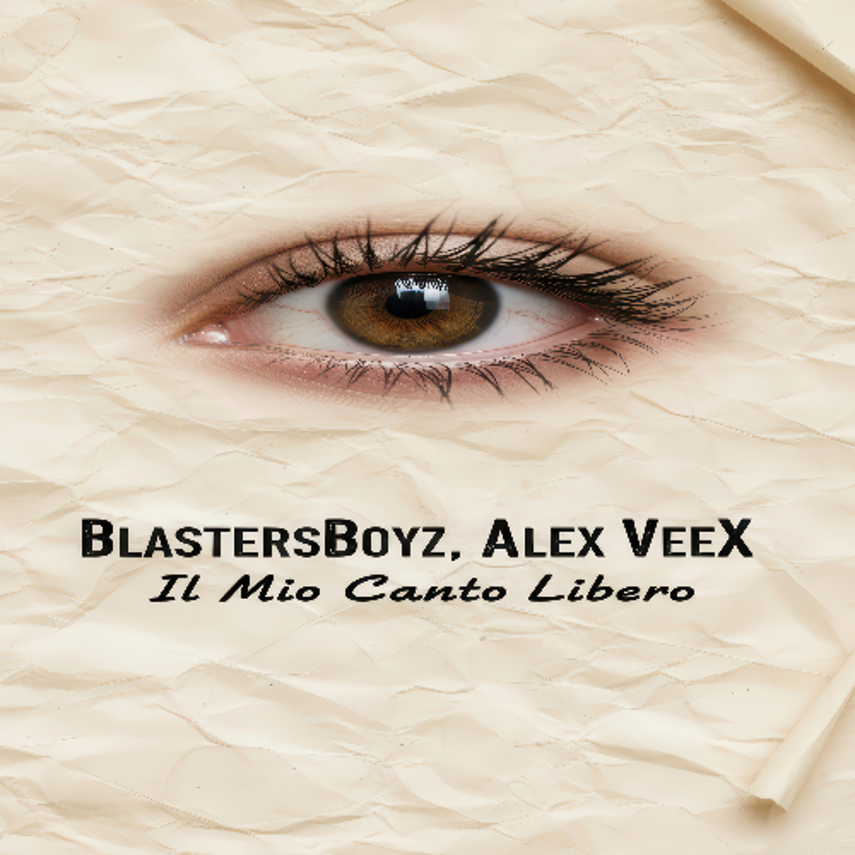 Track cover