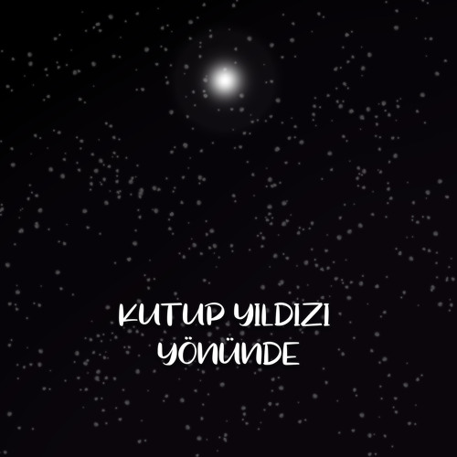 Kutup Yıldızı Yönünde