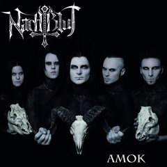 Gothic, NDH,Mittelalter - 2