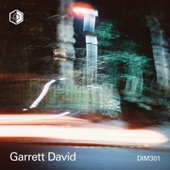 DIM301 - Garrett David