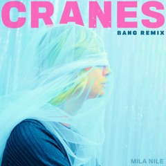 Cranes - Bang Remix