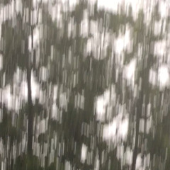 a summer storm, finally