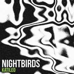 Nightbirds 26